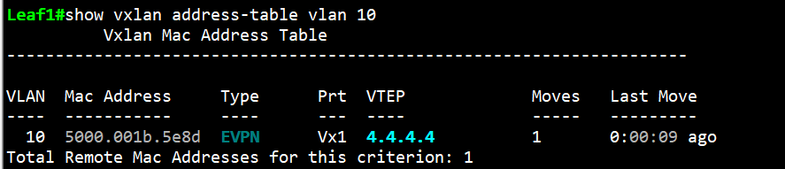 VXLAN Address Table